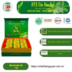 Hộp trà ấm Móc câu 1kg ( 80 gói 12,5g) – HTX chè Hảo Đạt